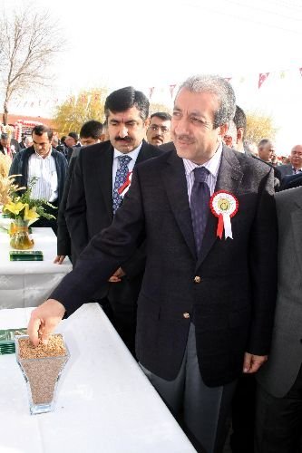 "türkiye Kuraklığa Dayanıklı Tohumun Merkezi Olacak"