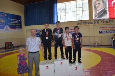 Türkiye serbest güreş müsabakaları sona erdi