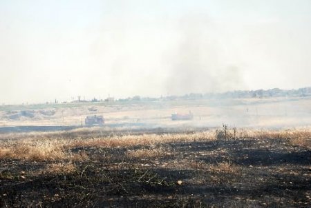 Türkiye-suriye Sınırında Bulunan Mayınlı Sahada Yangın Çıktı