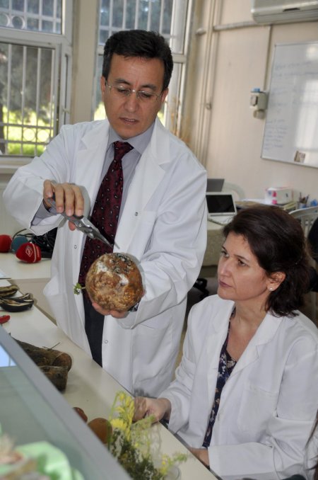 Türkiye’de ilk bitki sağlığı kliniği Hatay’da kuruluyor