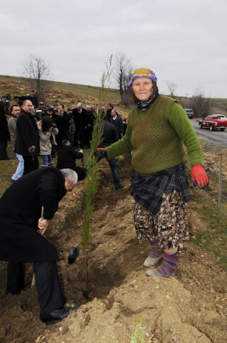 Türkiye'de şahıs tarlasına fidan dikim uygulaması ilk Samsun'da yapıldı