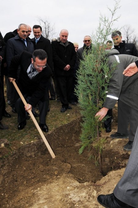 Türkiye'de şahıs tarlasına fidan dikim uygulaması ilk Samsun'da yapıldı