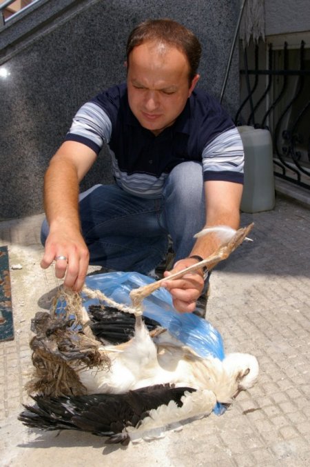 Türkiye’deki Leyleklerin Korunması Protokolü imza aşamasında