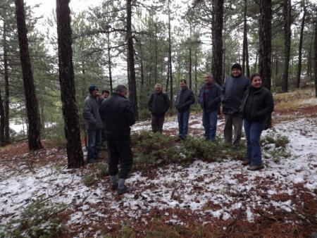 Türkiye'deki ormanların haritası çıkarılıyor