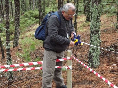Türkiye'deki ormanların haritası çıkarılıyor
