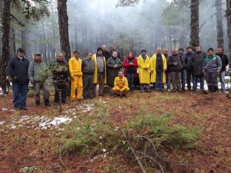 Türkiye'deki ormanların haritası çıkarılıyor