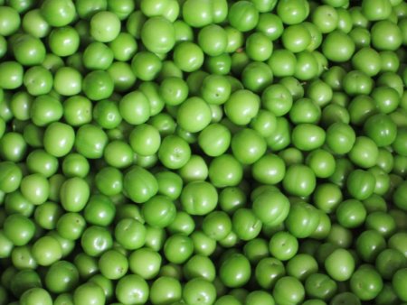 Türkiye’nin en erkenci can eriği Erdemli'de yetiştirildi