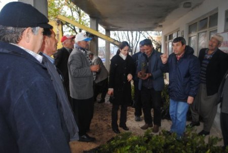 Türkiye’nin İlk Kapama Defne Bahçeleri Silifke'de Kuruldu