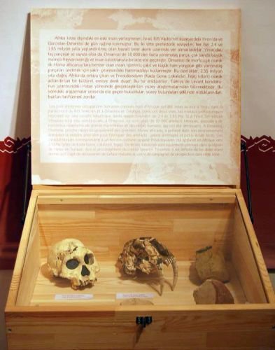 Türkiye'nin İlk Sakinlerinin Kalıntıları İzmir'de Sergileniyor