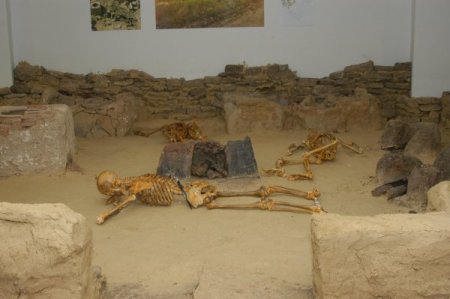 Türkiye'nin İlk Üniversite Arkeoloji Müzesi Açıldı