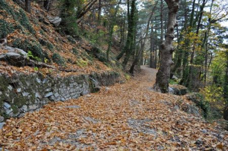 Türkiye'nin oksijen deposu Kazdağları'nda sonbahar (Özel)