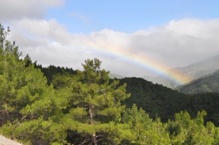 Türkiye'nin oksijen deposu Kazdağları'nda sonbahar (Özel)