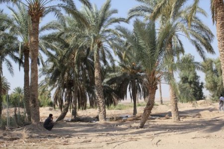 Türkiye'nin Ortadoğu'daki ilk arkeolojik kazısını BEÜ gerçekleştirecek