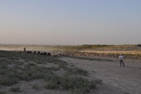 Türkiye'nin Ortadoğu'daki ilk arkeolojik kazısını BEÜ gerçekleştirecek
