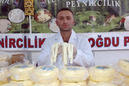 Türkiye’nin peynir çeşitleri bu festivalde