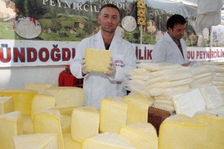 Türkiye’nin peynir çeşitleri bu festivalde