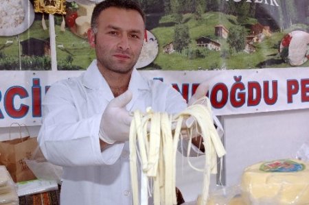 Türkiye’nin peynir çeşitleri bu festivalde