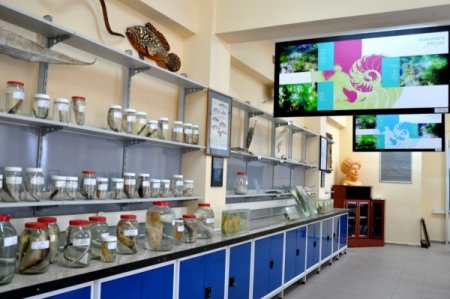 Türkiye’nin Tek Deniz Müzesi Çomü’de