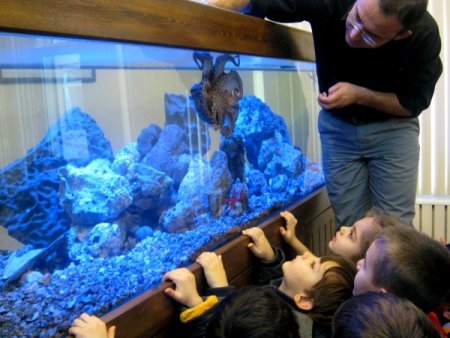 Türkiye’nin Tek Deniz Müzesi Çomü’de