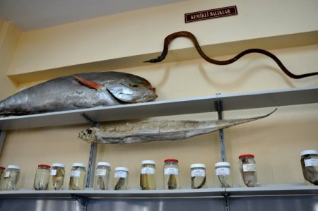 Türkiye’nin Tek Deniz Müzesi Çomü’de