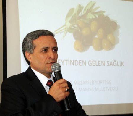 Türkiye’nin zeytin üretiminin yüzde 14’ü Manisa'da yapılıyor