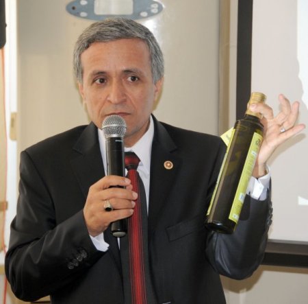 Türkiye’nin zeytin üretiminin yüzde 14’ü Manisa'da yapılıyor