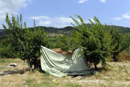 Türkiye'ye Sınırındaki Suriyeli Mülteciler