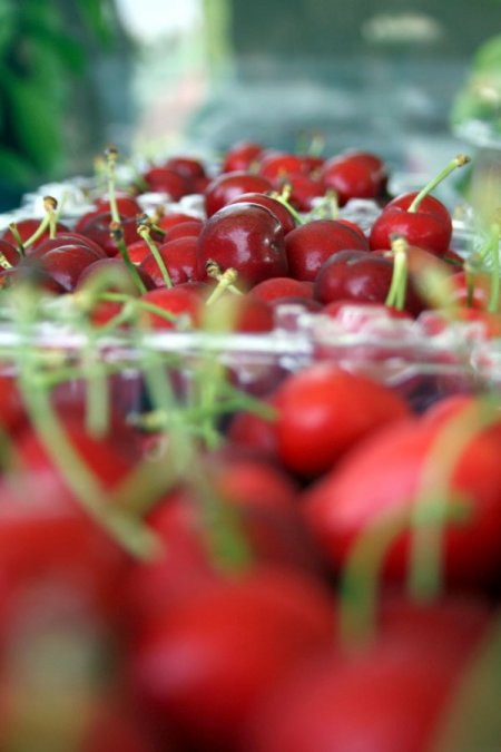 Türkler kirazın ömrünü uzattı