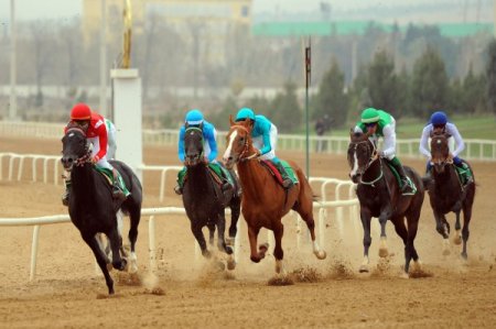 Türkmenistan’da pamuk bayramı