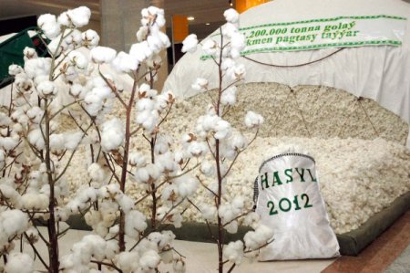 Türkmenistan’da pamuk bayramı