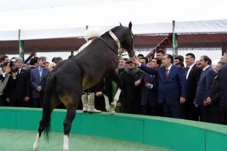 Türkmenistan’da Uluslararası Nevruz Bayramı yaylada kutlandı