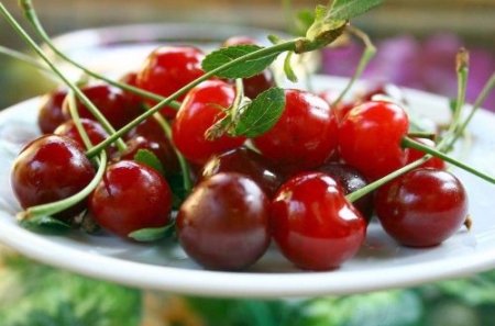 TÜTEV Afyonkarahisar'da 41 bin euroluk proje hazırladı