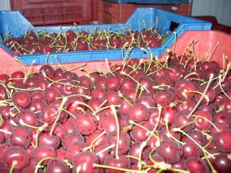 TÜTEV Afyonkarahisar'da 41 bin euroluk proje hazırladı