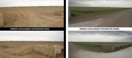 Tuzlanan araziler yeniden tarıma kazandırılıyor