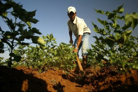 TZOB: Kırsalda genç nüfus azlığı tarımı olumsuz etkiliyor