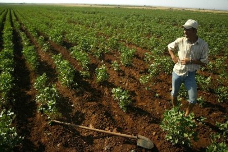 TZOB: Kırsalda genç nüfus azlığı tarımı olumsuz etkiliyor