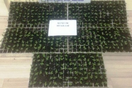 Üç ilde eş zamanlı uyuşturucu operasyonu: 6 gözaltı