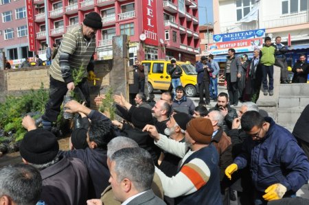 Ücretsiz fidan dağıtımında izdiham