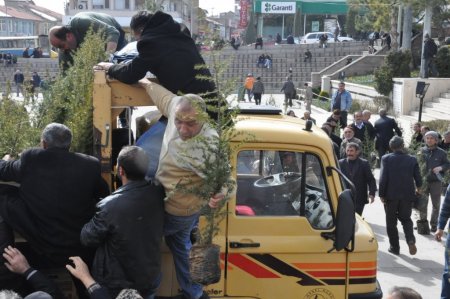 Ücretsiz fidan dağıtımında izdiham