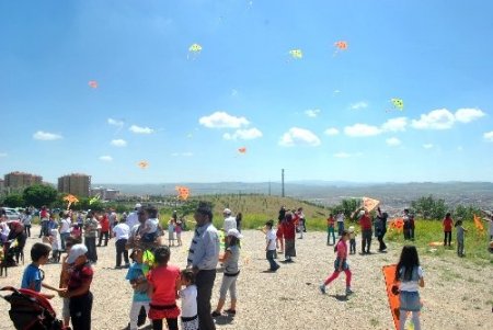 Uçurtmalar gökyüzünü renklendirdi