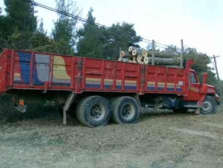 Uçuruma yuvarlanan iş makinesinin sürücüsü öldü