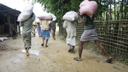 UHİM, Arakan'da yaşananları rapor etti