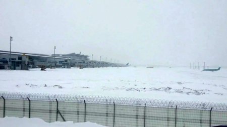 Ukrayna'da hava ulaşımı normal seyrine dönmesi bekleniyor