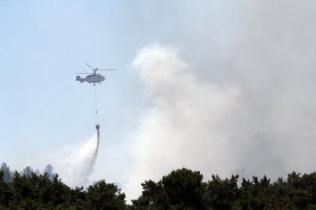 Ula'da Orman Yangını