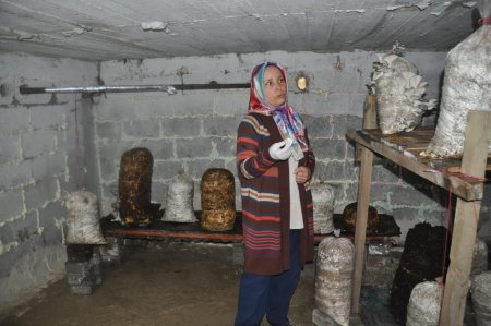 Ülkede böyle başarılı kadınlar da var