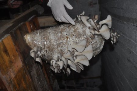 Ülkede böyle başarılı kadınlar da var