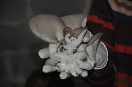 Ülkede böyle başarılı kadınlar da var