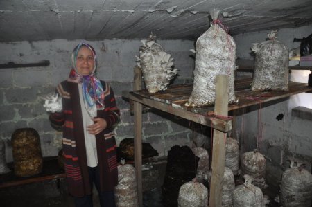 Ülkede böyle başarılı kadınlar da var