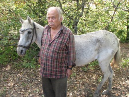 Uluköy’de kaybolan at definecilerin kazdığı iddia edilen çukurda canlı bulundu