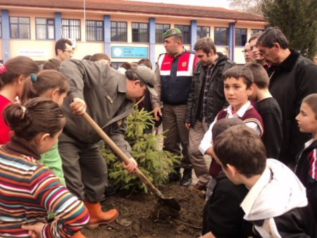 Ulus Zafer İlkokulu bahçesinde fidanlar toprakla buluştu